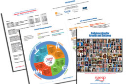 NAESP Annual Board Report