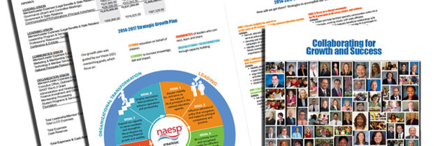 NAESP Annual Board Report