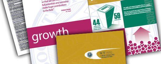 SOT Endowment Annual Report